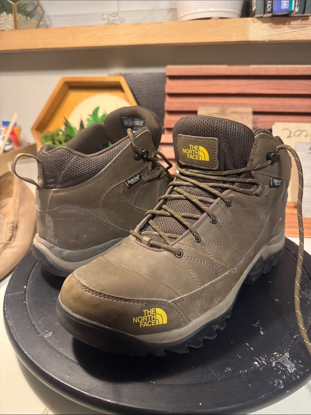 The North Face Men's Olive Brown Waterproof Hiking Boots.
